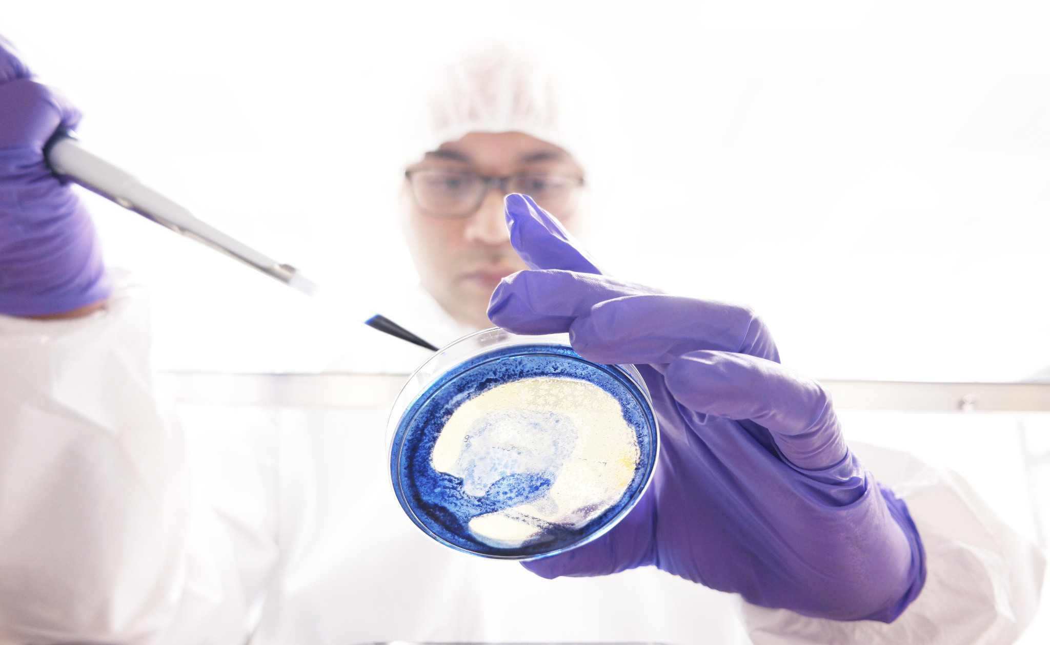 Scientist in a laboratory
