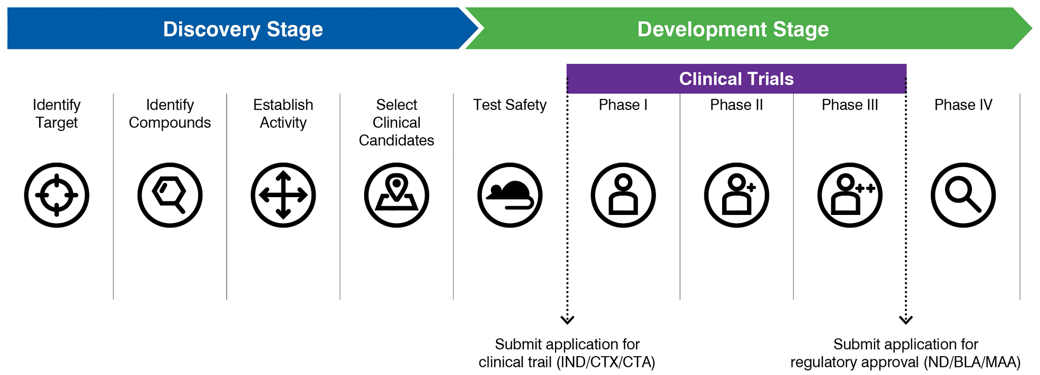 Chart showing the program management stages of drug development.