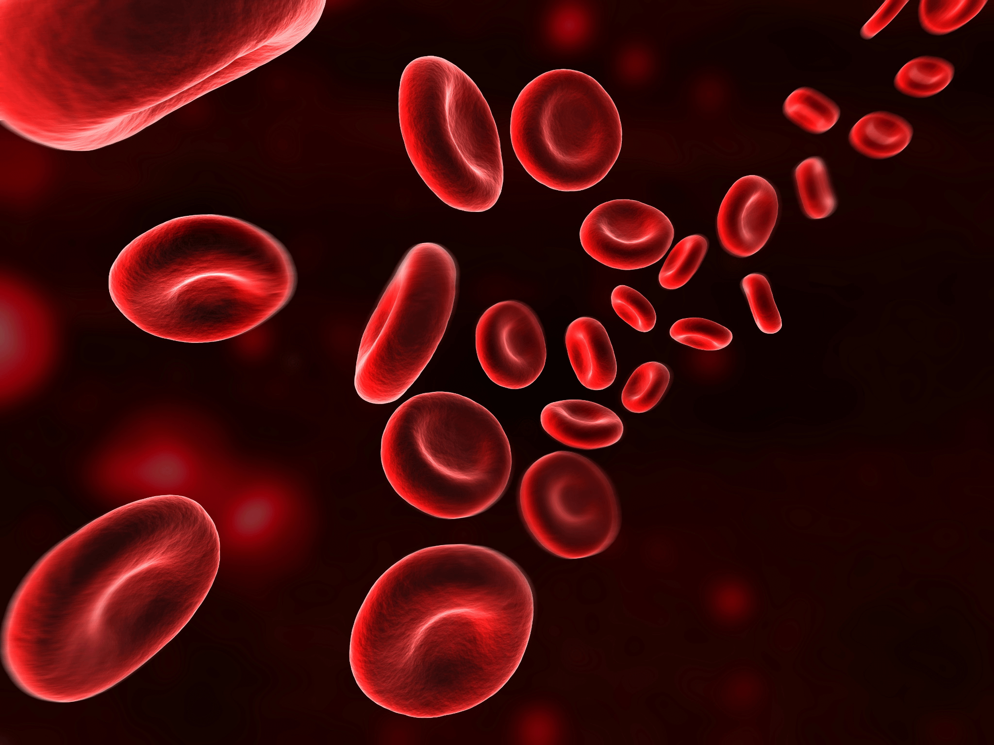 red blood cells