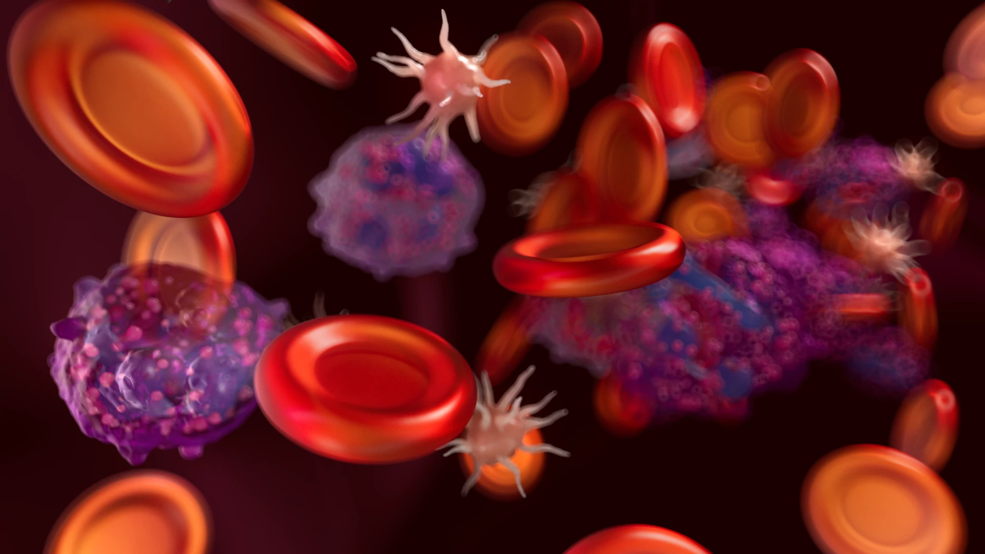 Cluster image of human blood, Red blood cell, Platelet, Neutrophil