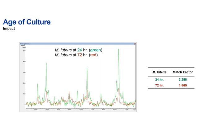 How to Interpret MALDI - Age of Culture