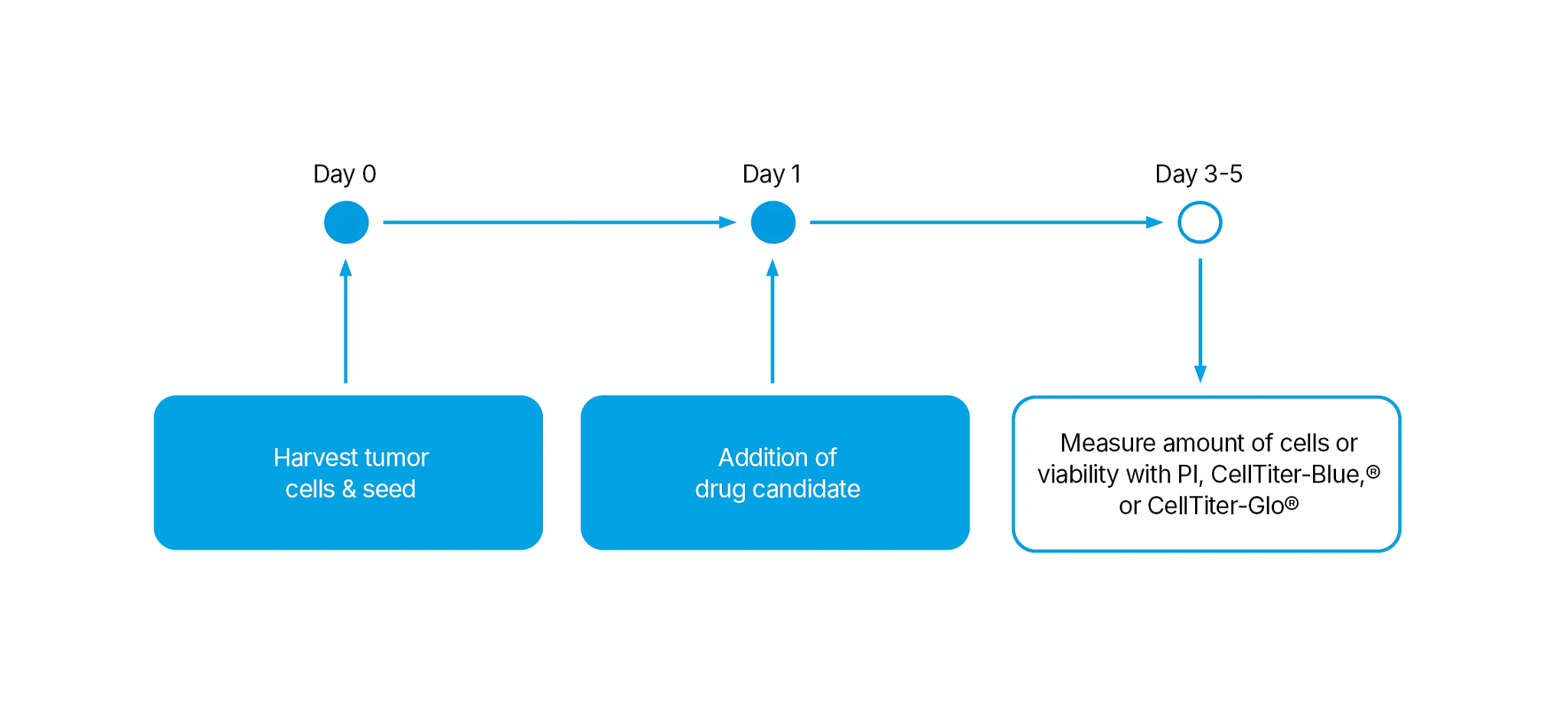 Assay Principle Figure depicting a timeline from Day 0 to Day 1 to Day 3-5.