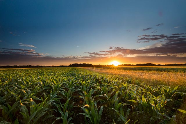 Our scientific advisory experts are available to support biotechnology, pharmaceutical, academic, agrochemical and chemical companies globally to ensure scientific relevance and regulatory standards.