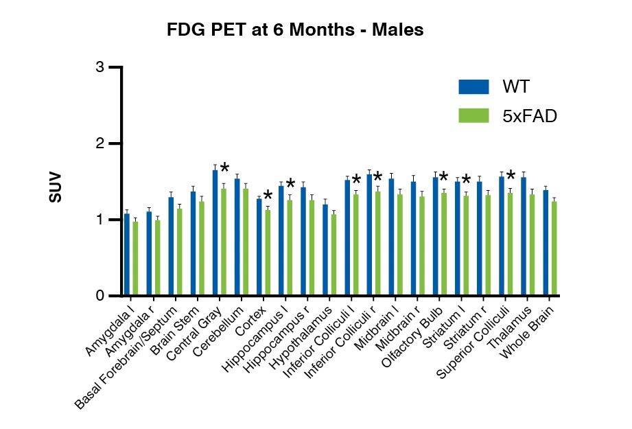 Impaired brain metabolism in 5xFAD mouse model