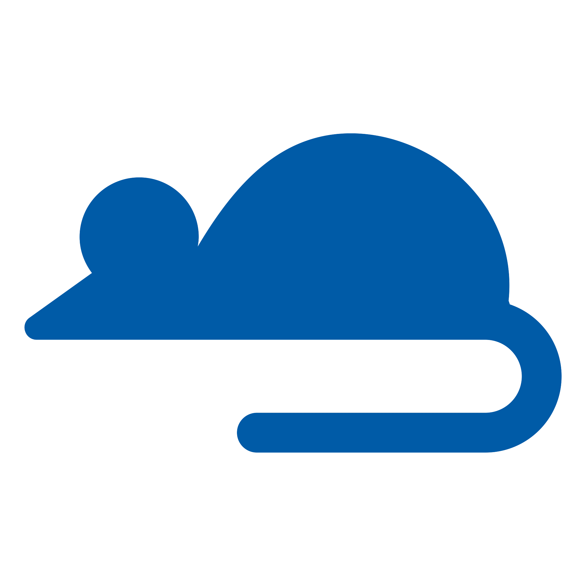 Mouse icon