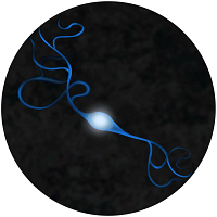 Image of blue dopamine neuron on black background to represent the neuroscience tools offered at Charles River.
