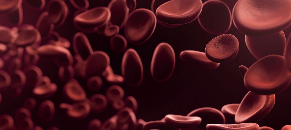 Understanding the 3 Types of Blood Cells Circulated in Plasma | Charles  River