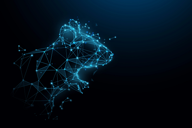 Rat form lines, triangles and particle style design