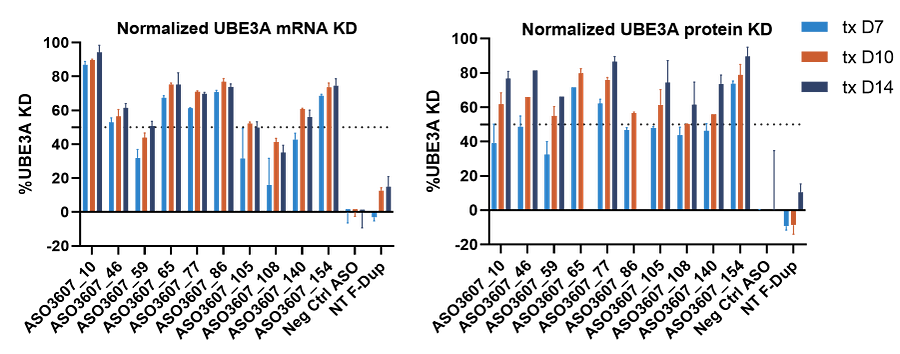 Graphs showing changes in UBE3A mRNA expression and protein levels in response to various ASOs.