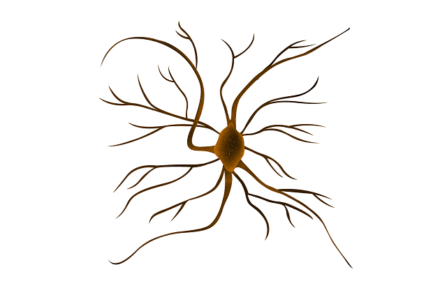 graphic image of orange gabaergic neuron involved in Huntington's disease