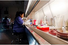lab technician preparing microbial samples