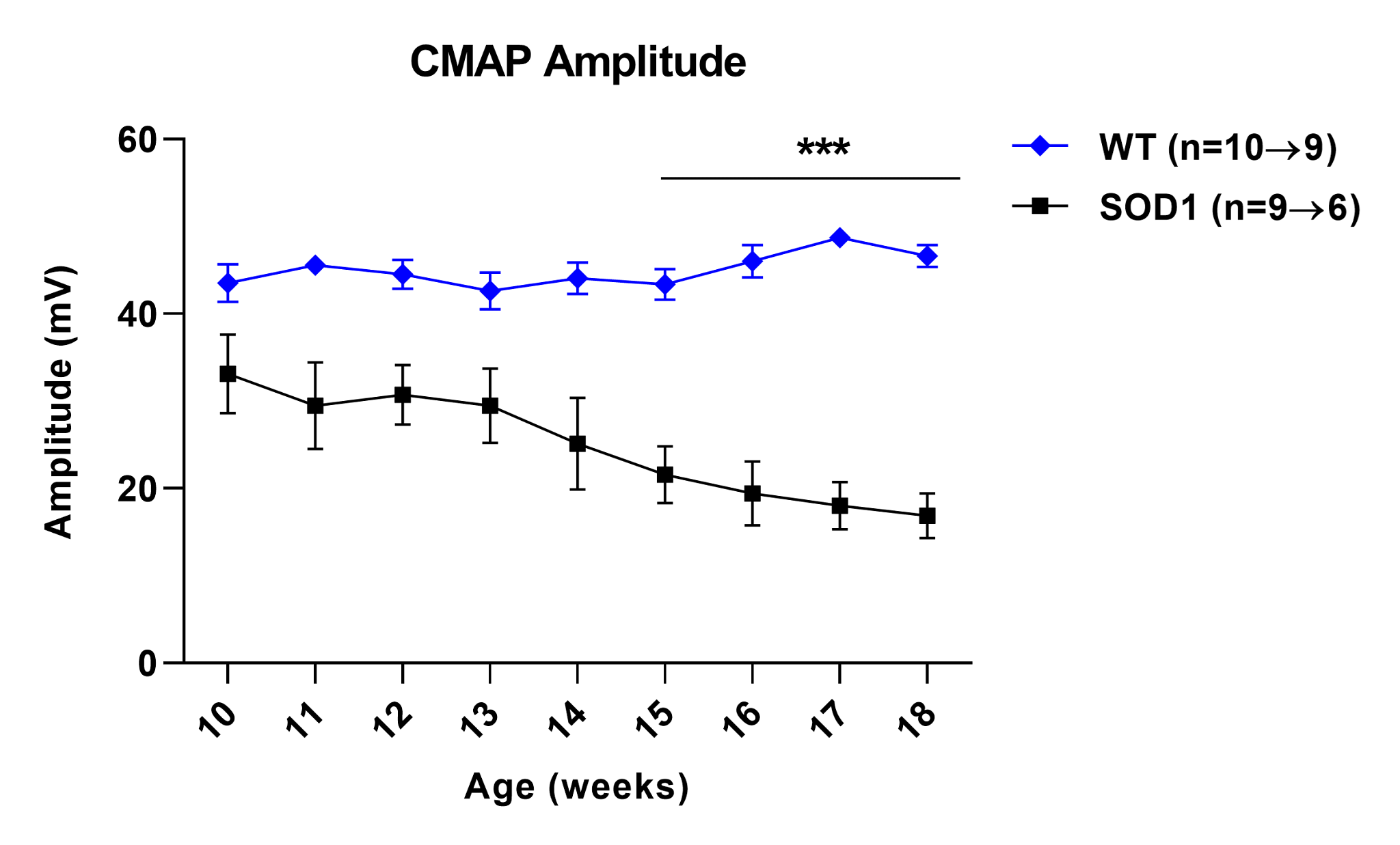 Graph showing the decrease in CMAP max amplitude over time in a SOD1 ALS mouse model.