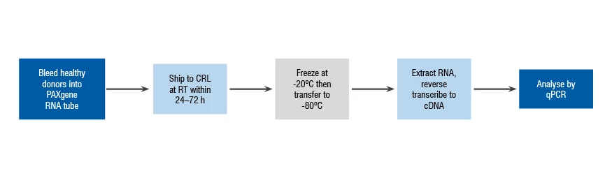 Diagram of the stages of sample RNA extraction prior to analysis using qPCR.