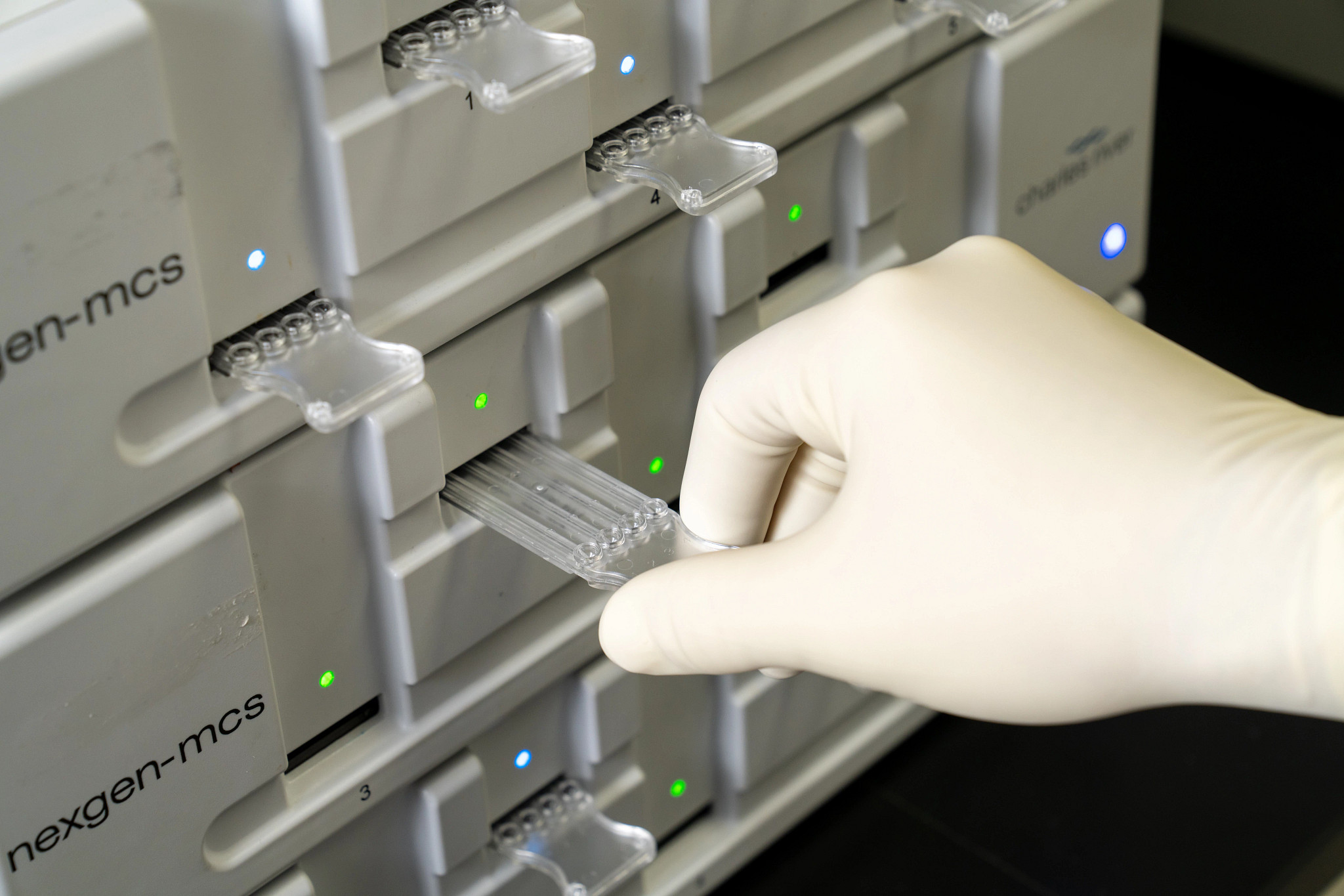 A gloved hand inserts a clear plastic sample strip into a slot on the nexgen-mcs with multiple trays and indicator lights.
