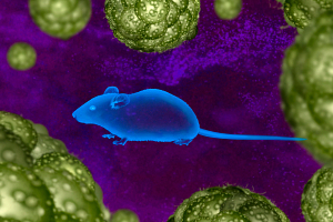 Patient-derived Xenograft (PDX) mouse model in front of an abstract background of cancer cells.