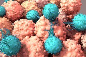 CAR-T cells for gene-modified cell therapy using lentiviral vectors
