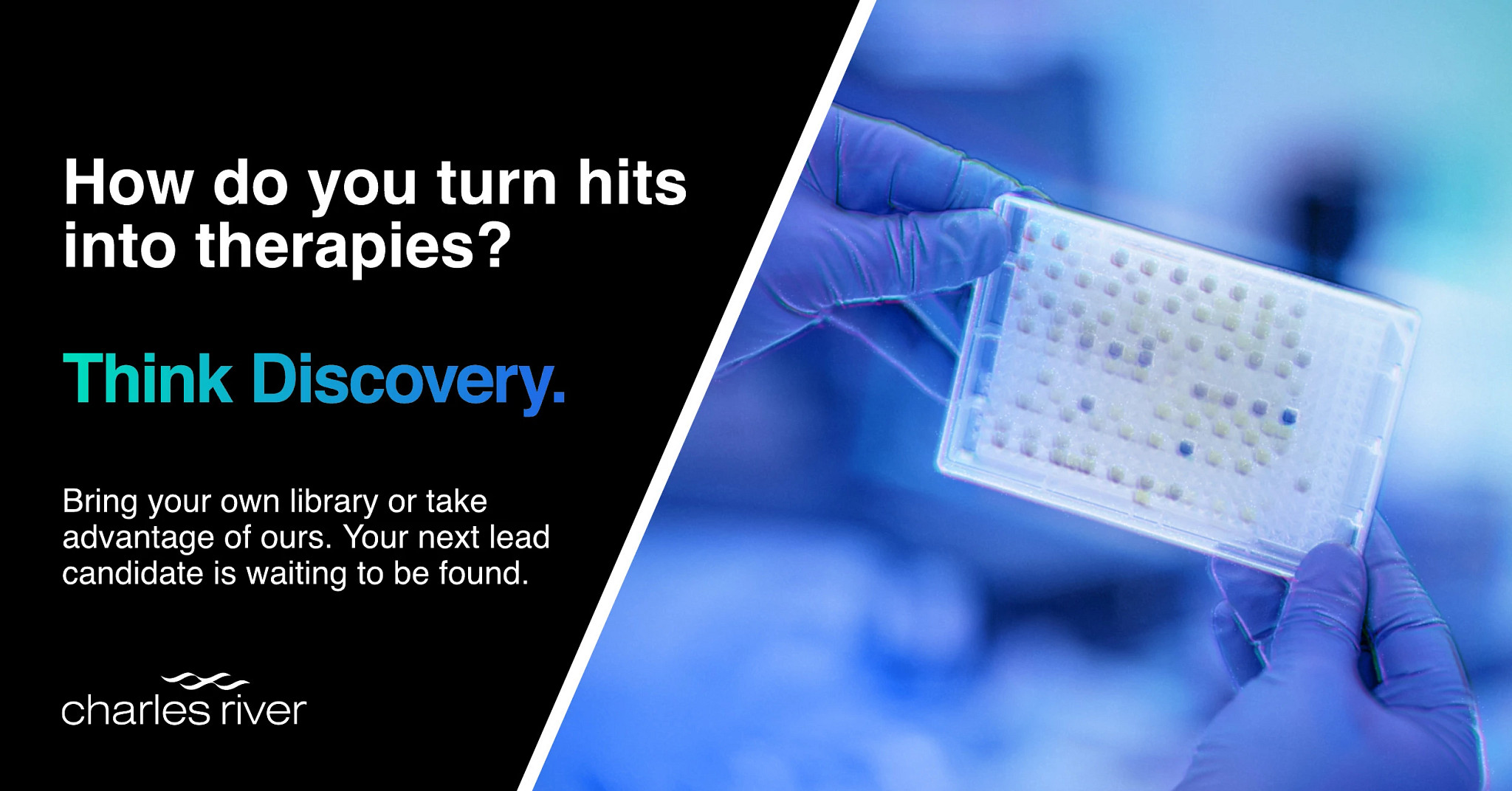 How do you turn hits into therapies? Think Discovery.