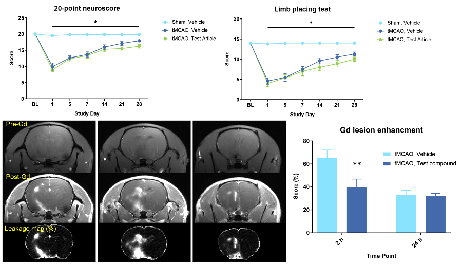 Data showing that tMCAO in rats causes functional deficits (20-point neuroscore and limb placement), as well as changes in BBB permeability, detected by Gd-enhanced MRI two hours after surgery.