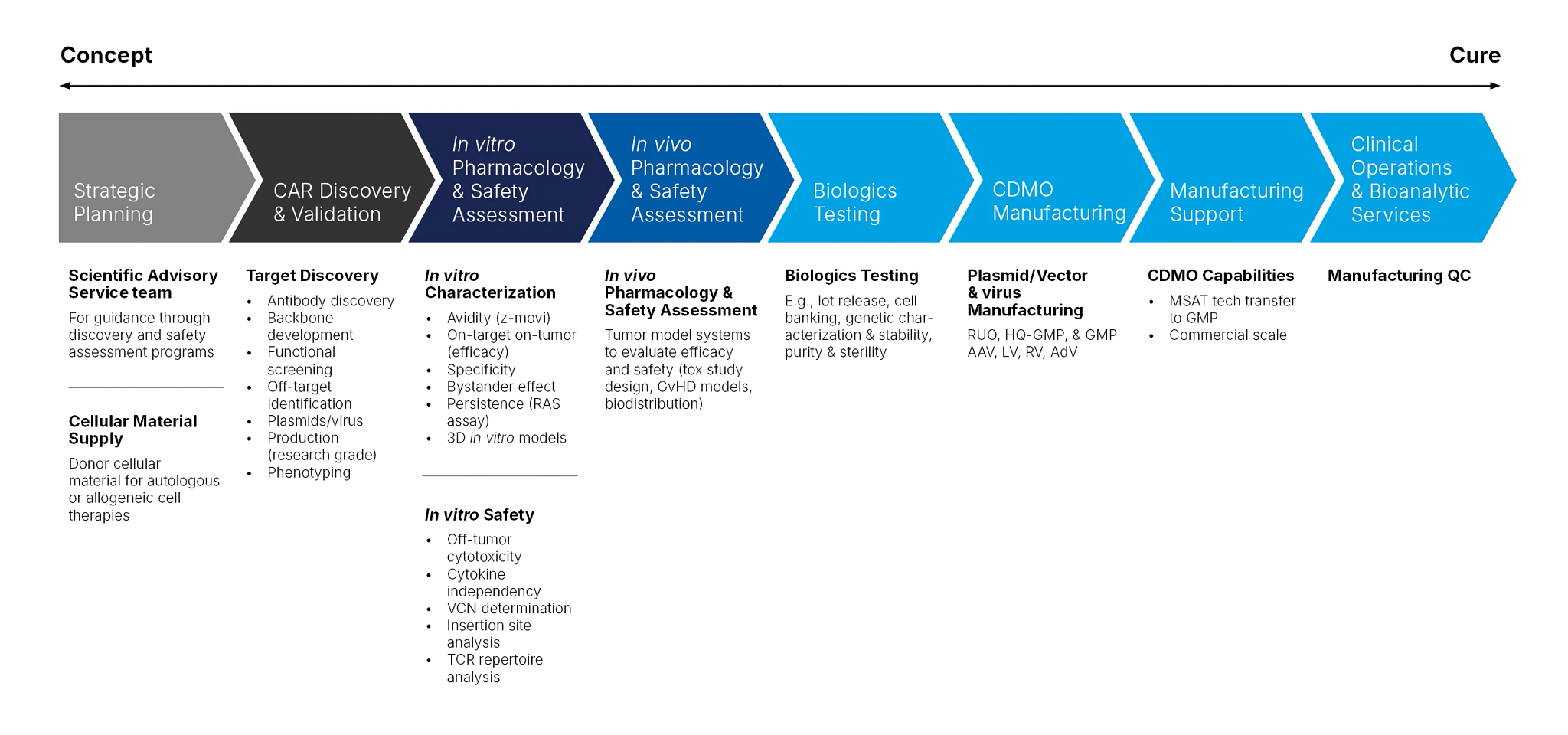 Diagram showing end-to-end discovery journey from in vitro CAR-T cell therapy testing, assays to treatment.