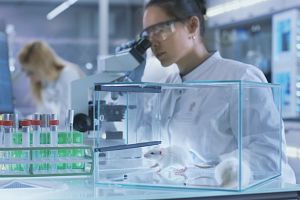 Medical Research Scientist Examines Samples under Microscope