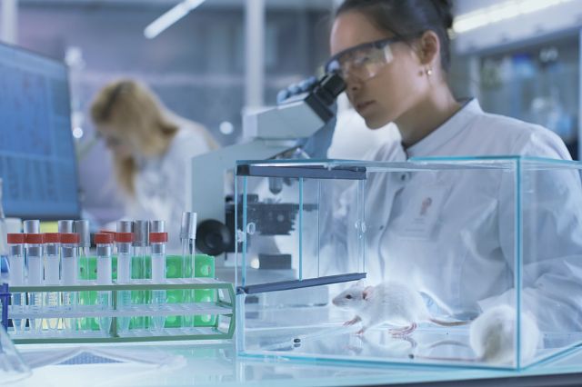 Charles River scientist working in a cell manufacturing lab.