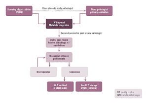 Digital Pathology peer review road map.