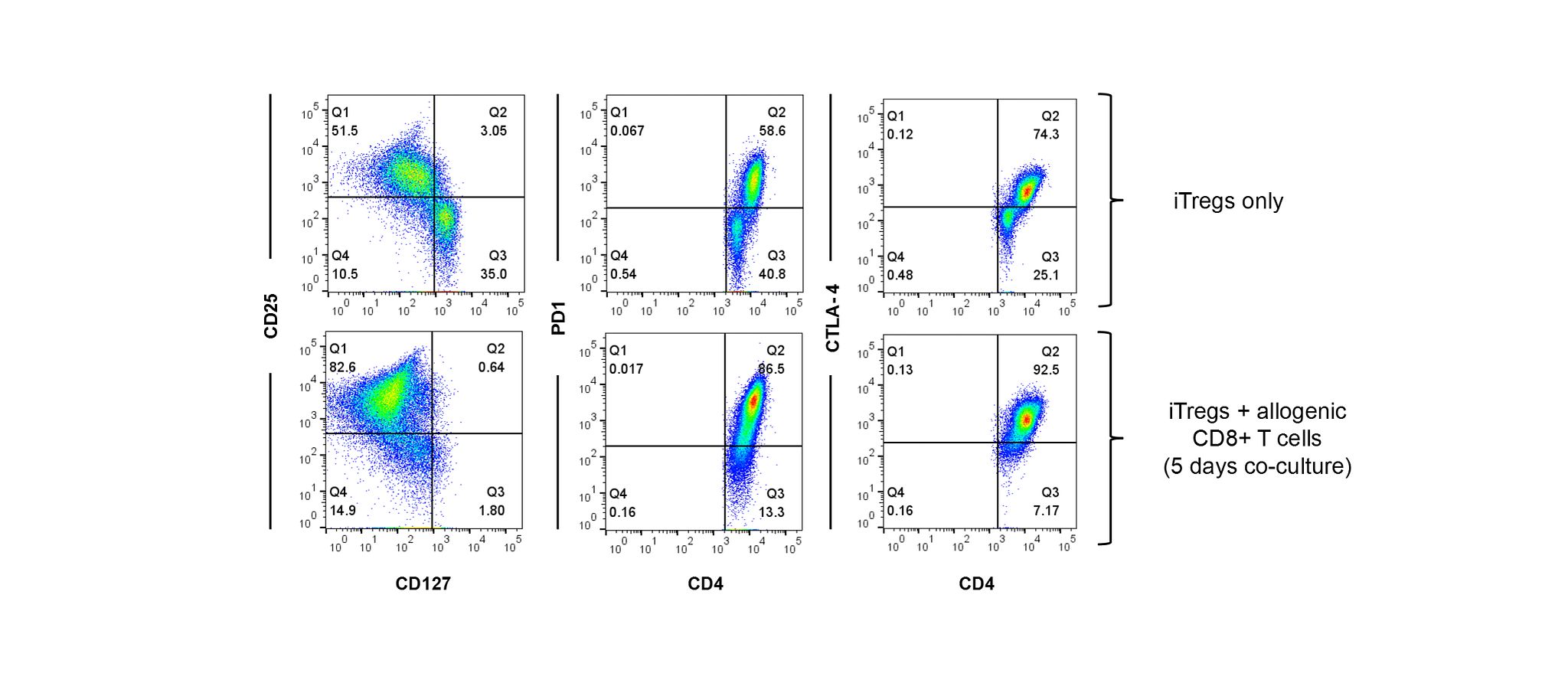 Phenotype_Tregs_Induced Tregs Figure 1.jpeg