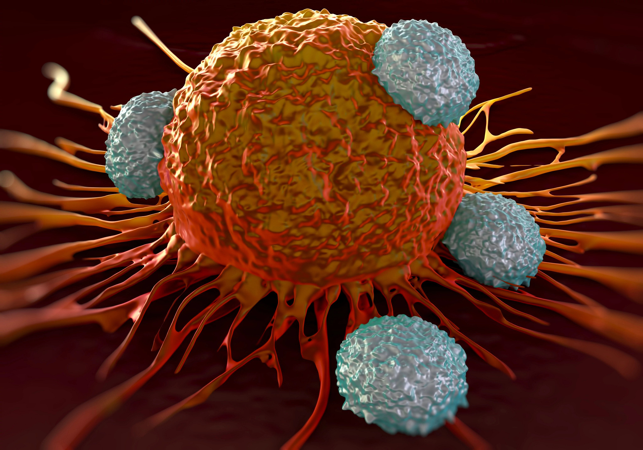 Tumor studies