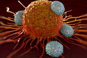 Tumor studies