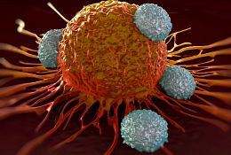 Tumor studies