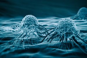 iStock-1304220388.jpg