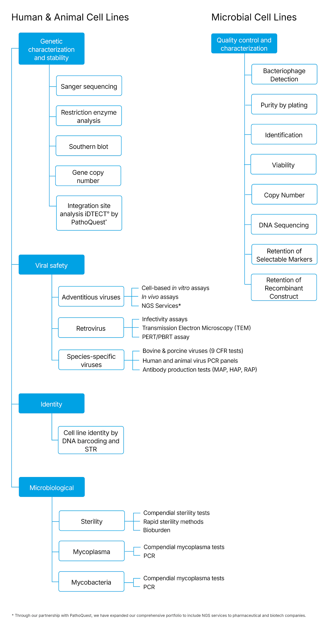 Cell Banking & Characterization flow chart