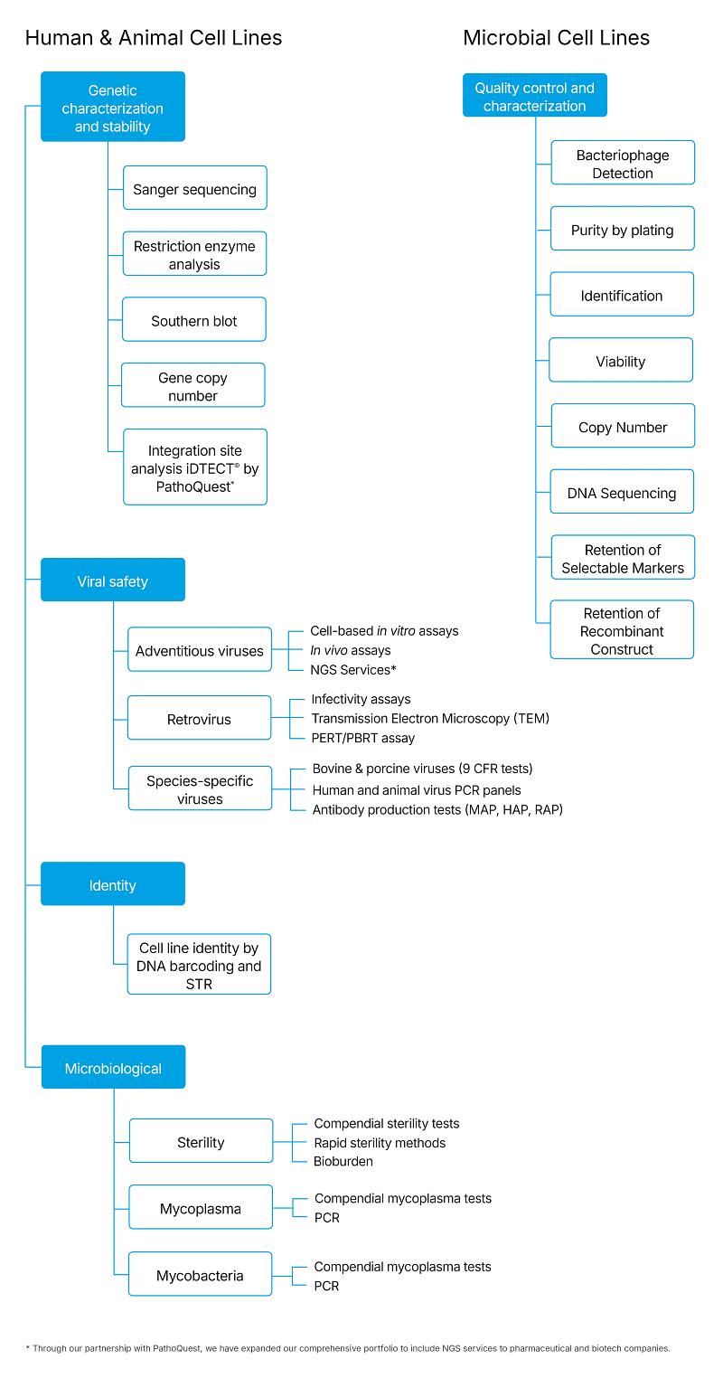 Cell Banking & Characterization flow chart