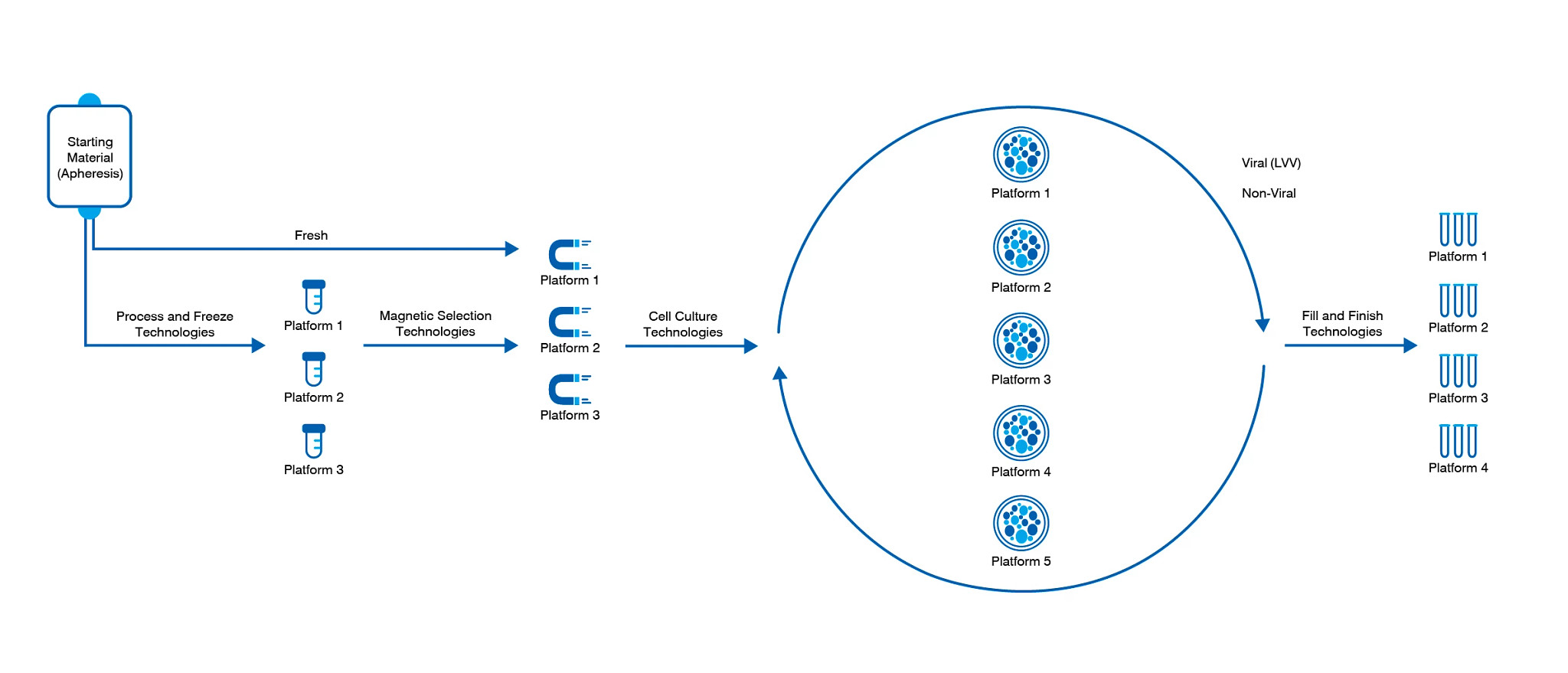 Our CAR-T platform streamlines drug manufacturing with ready-made modalities while offering customization at specific steps.