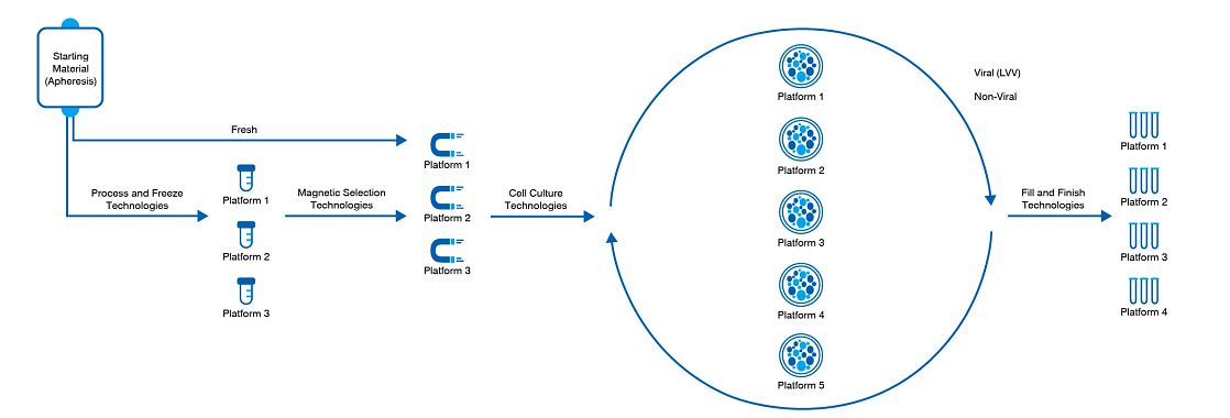 Our CAR-T platform streamlines drug manufacturing with ready-made modalities while offering customization at specific steps.