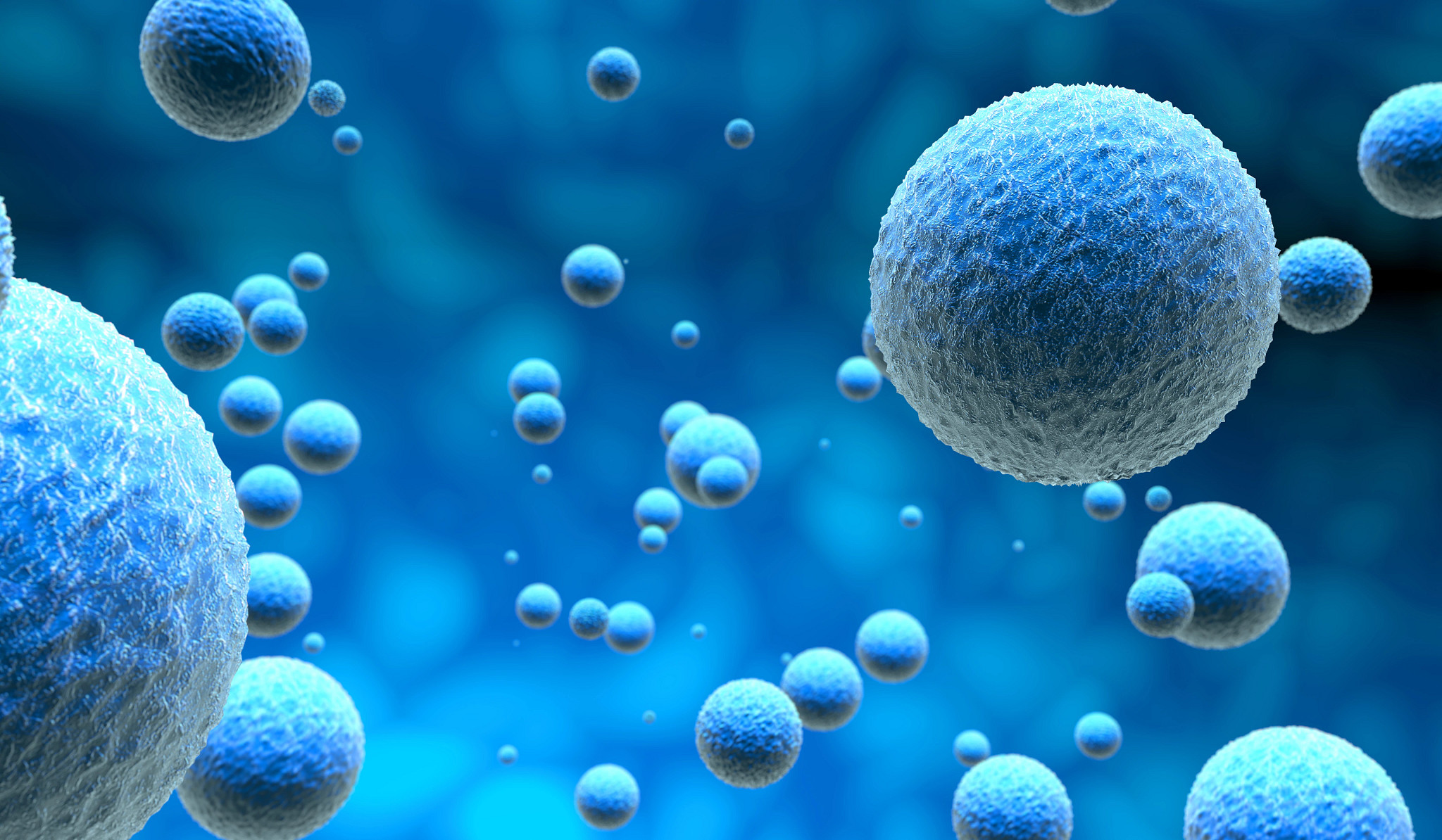 Graphic of cells as seen under a microscope.