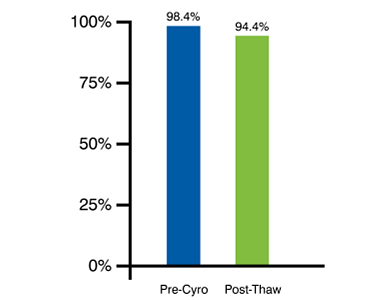 Day 0 freezing results in superior post-thaw viability.
