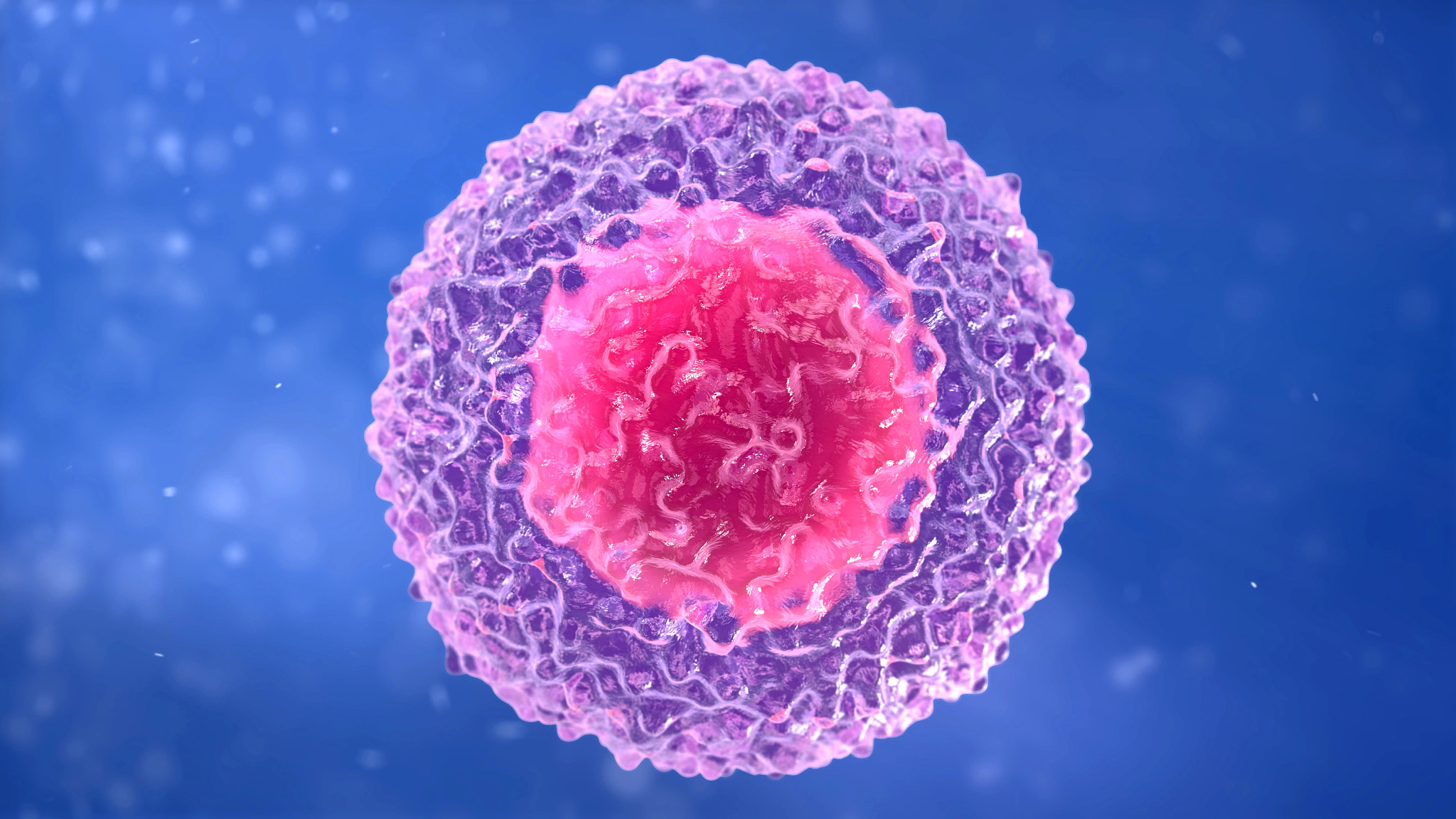 Car T Cell