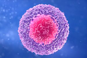 Car T Cell