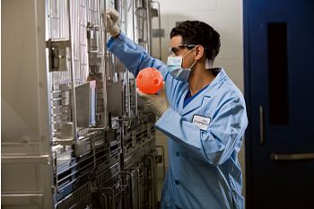 lab tech about to place a toy in an animal cage