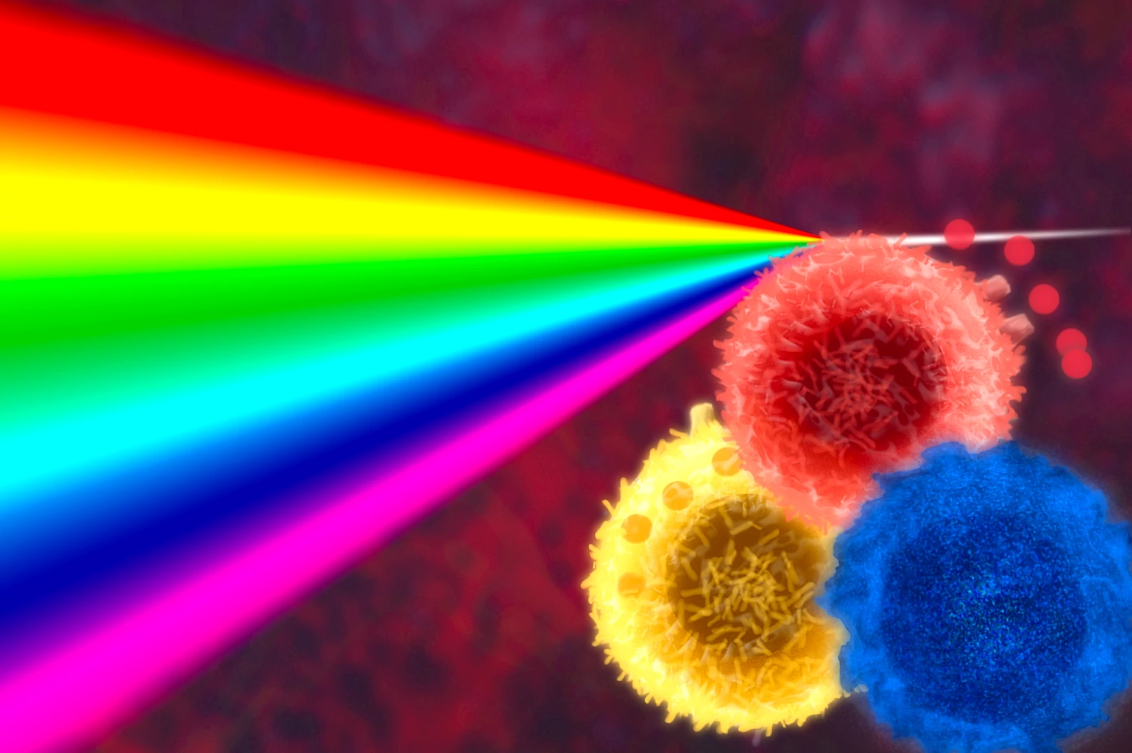 Development and validation of flow cytometry assays.