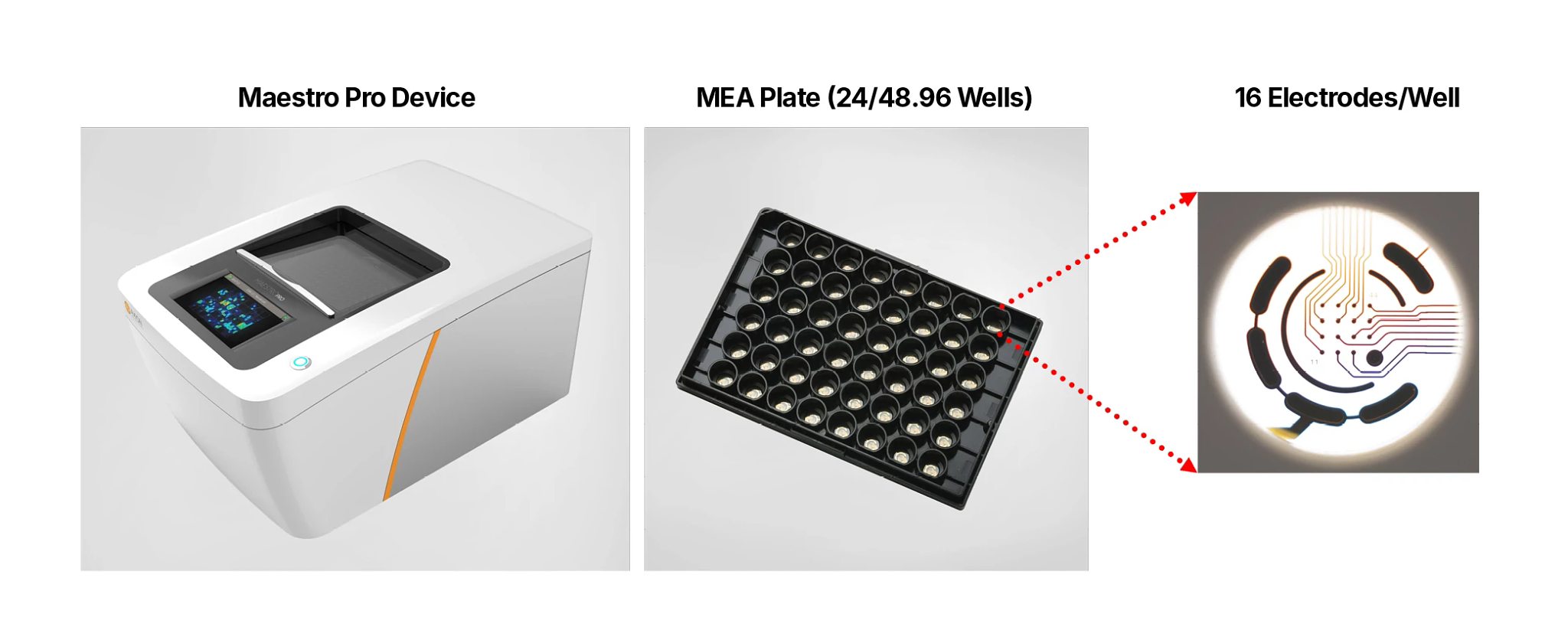 Illustration of the Maestro Pro Device, MEA Plate and 16 electrode well