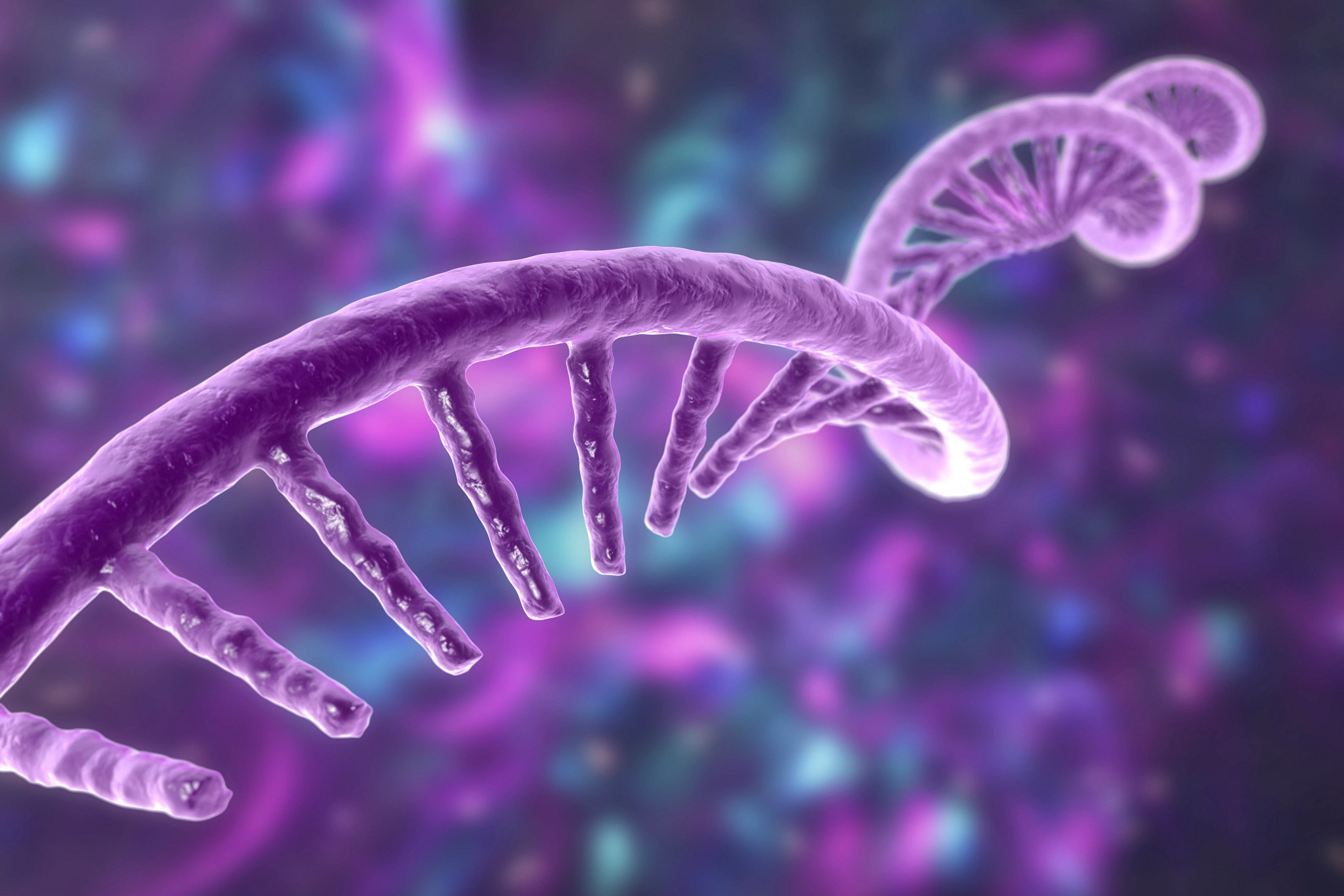 A 3d rendering of a purple single strand of RNA.