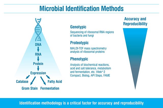 Biochemical Identification Of Microorganisms