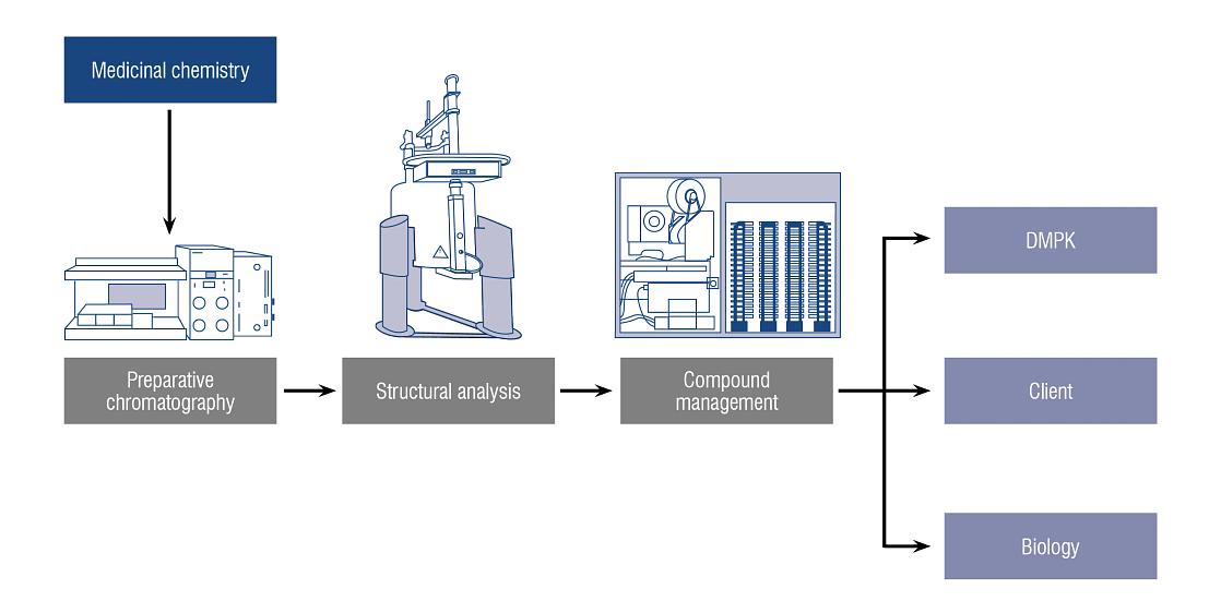 The Charles River analytical chemistry services team offers an integrated approach, partnering with medicinal chemistry, biology and compound management to deliver synchronized transitions for crude compound to assay data, providing optimal efficiency.