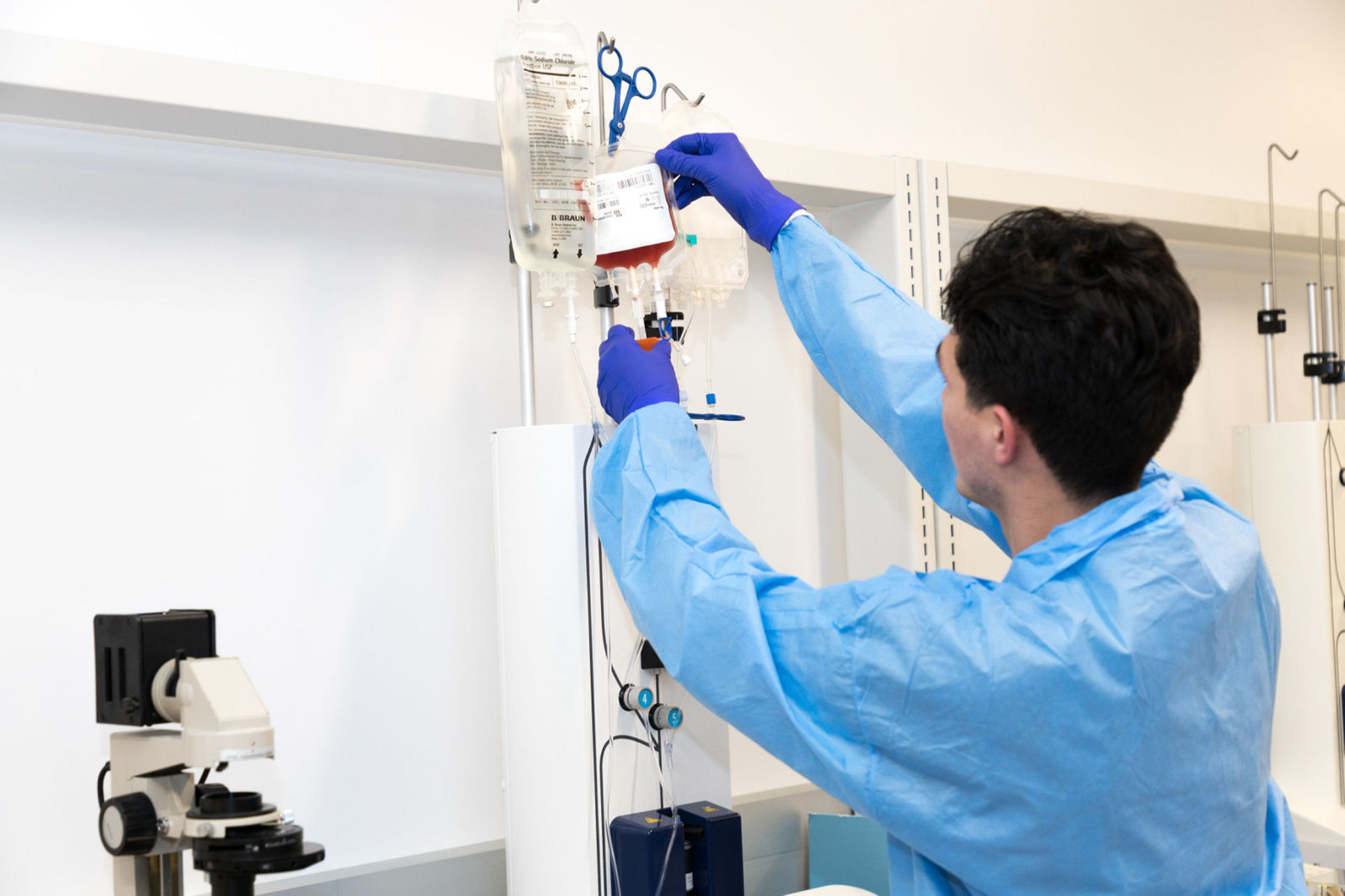 Scientist performing immunomagnetic isolation of T cells