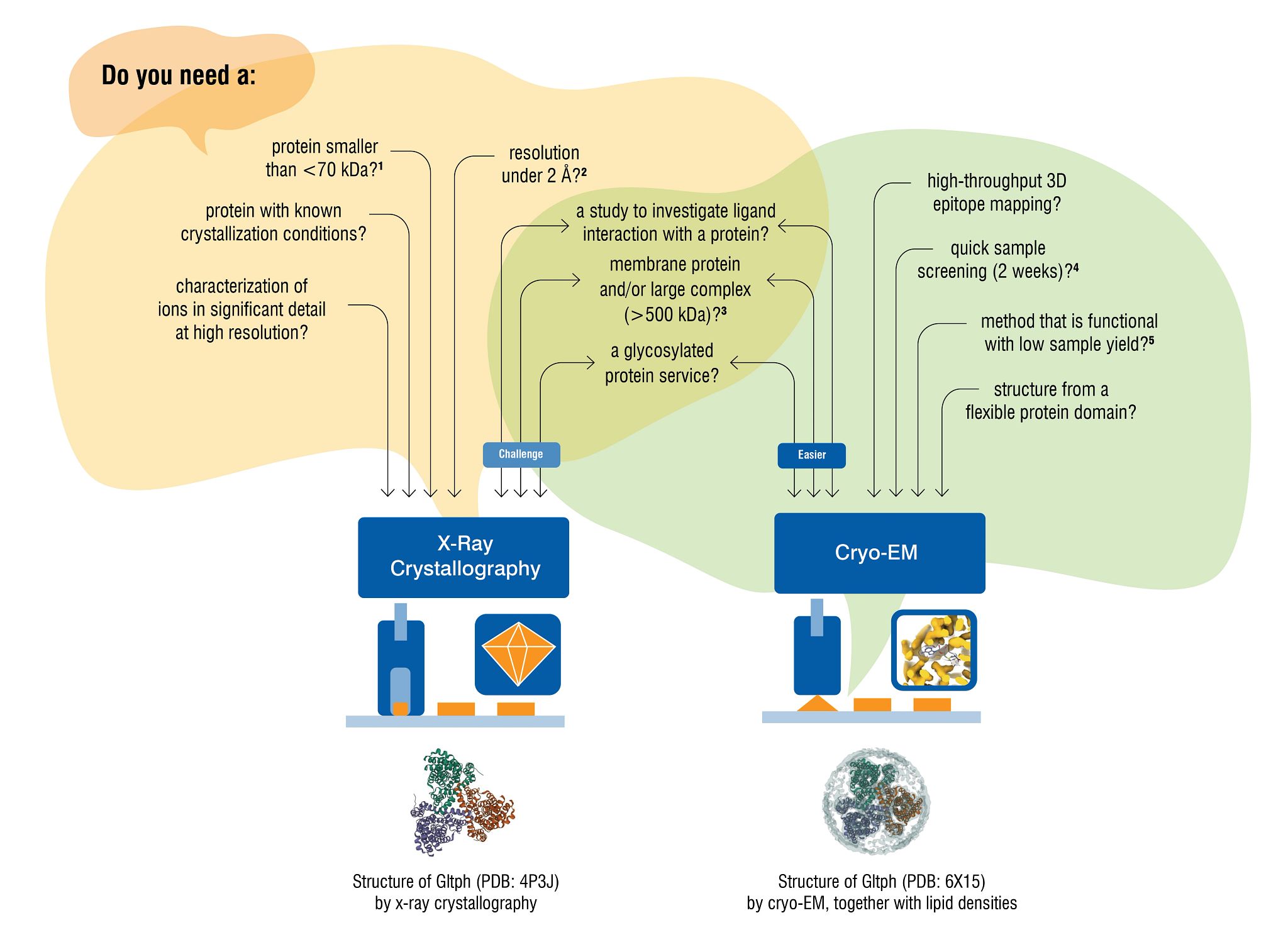 An infographic breaking down the suitability's and specialties of cryo-em and x-ray crystallography.