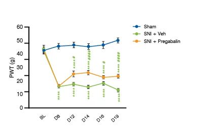 Spared Nerve Injury (SNI) Validation Data. Line graph showing the SNI Tactile Allodynia Reversion by Pregabalin