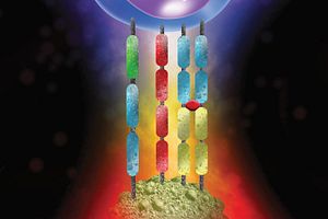digital rendering of killing of cancer cells