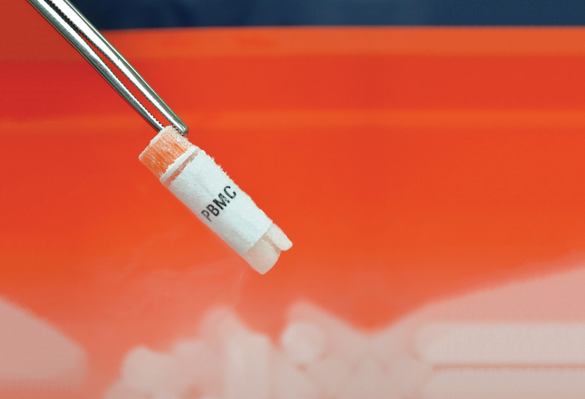 frozen PBMC vial